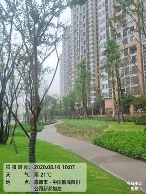 1617098167112491.jpg