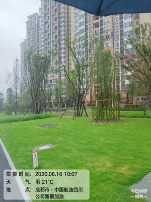 1617098167519151.jpg